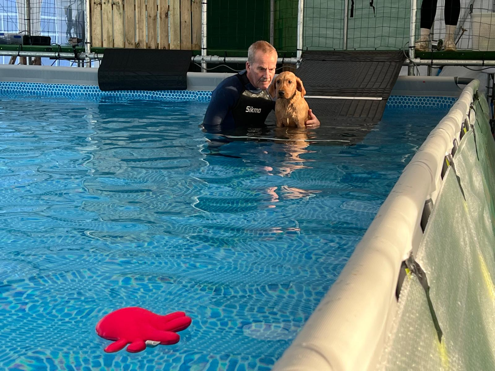 Coach gently introducing a hesitant dog to the shallow end of the pool