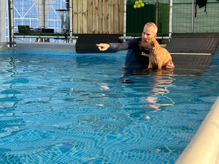 Swim coach supporting a dog in the water during a first swimming session