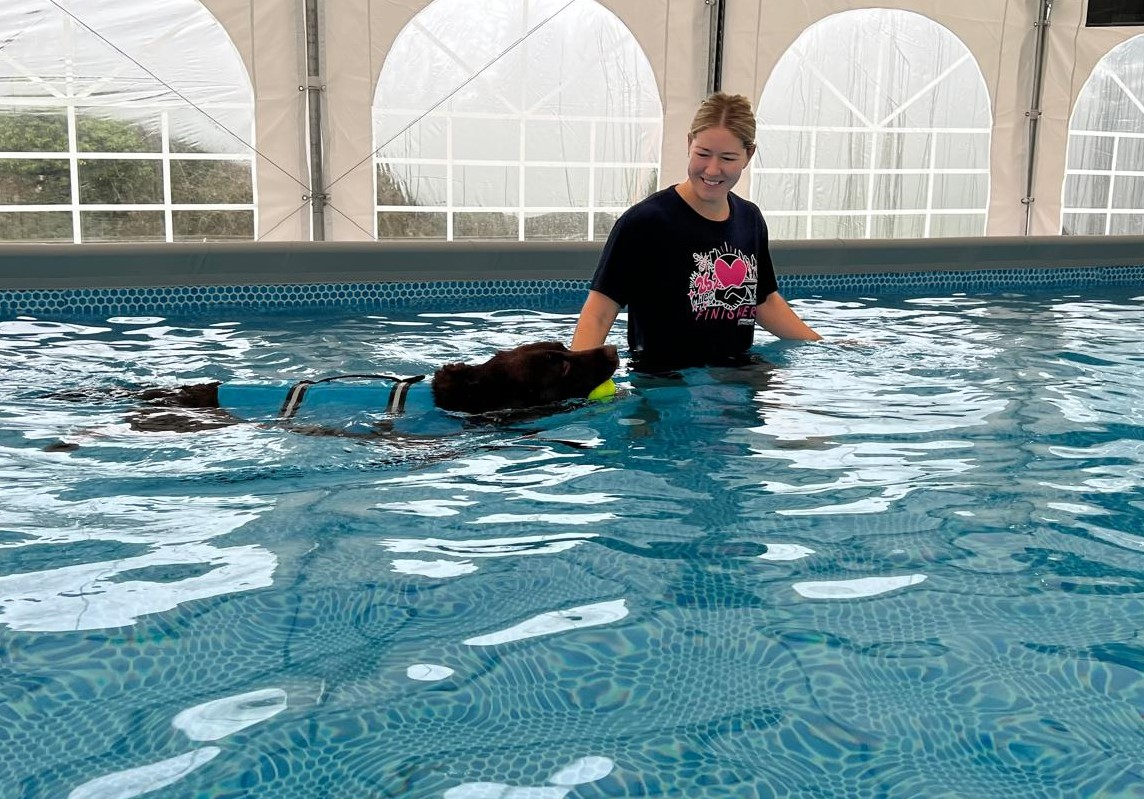 Team member supporting a dog in warm water during a supervised swim session