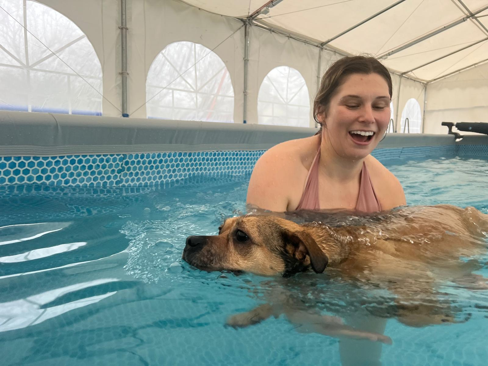 Older dog being supported in warm water by a member of the team